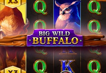 Игровой автомат Big Wild Buffalo в Zooma Casino